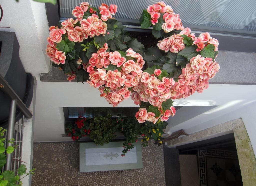 Brancadoria B&B Monteleone Rocca Doria Bagian luar foto